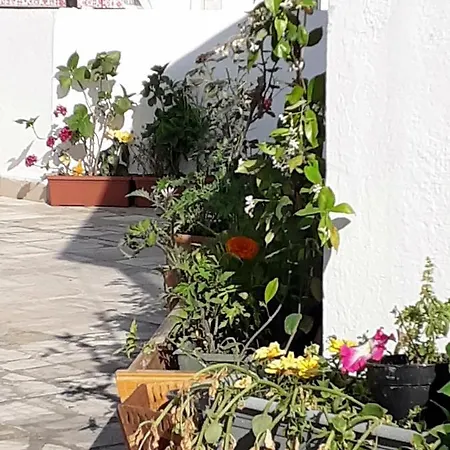 Bolero Apart Bodrum